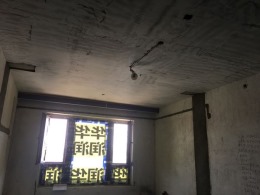 环球港11-1806